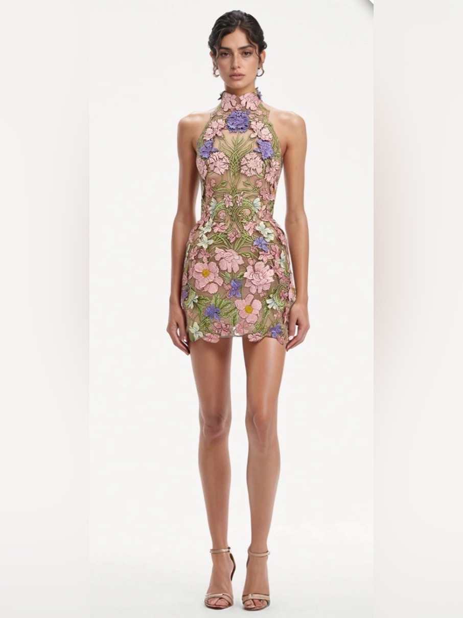 Lisa Dean - Fleur Embroidered Halter Open Back Mini